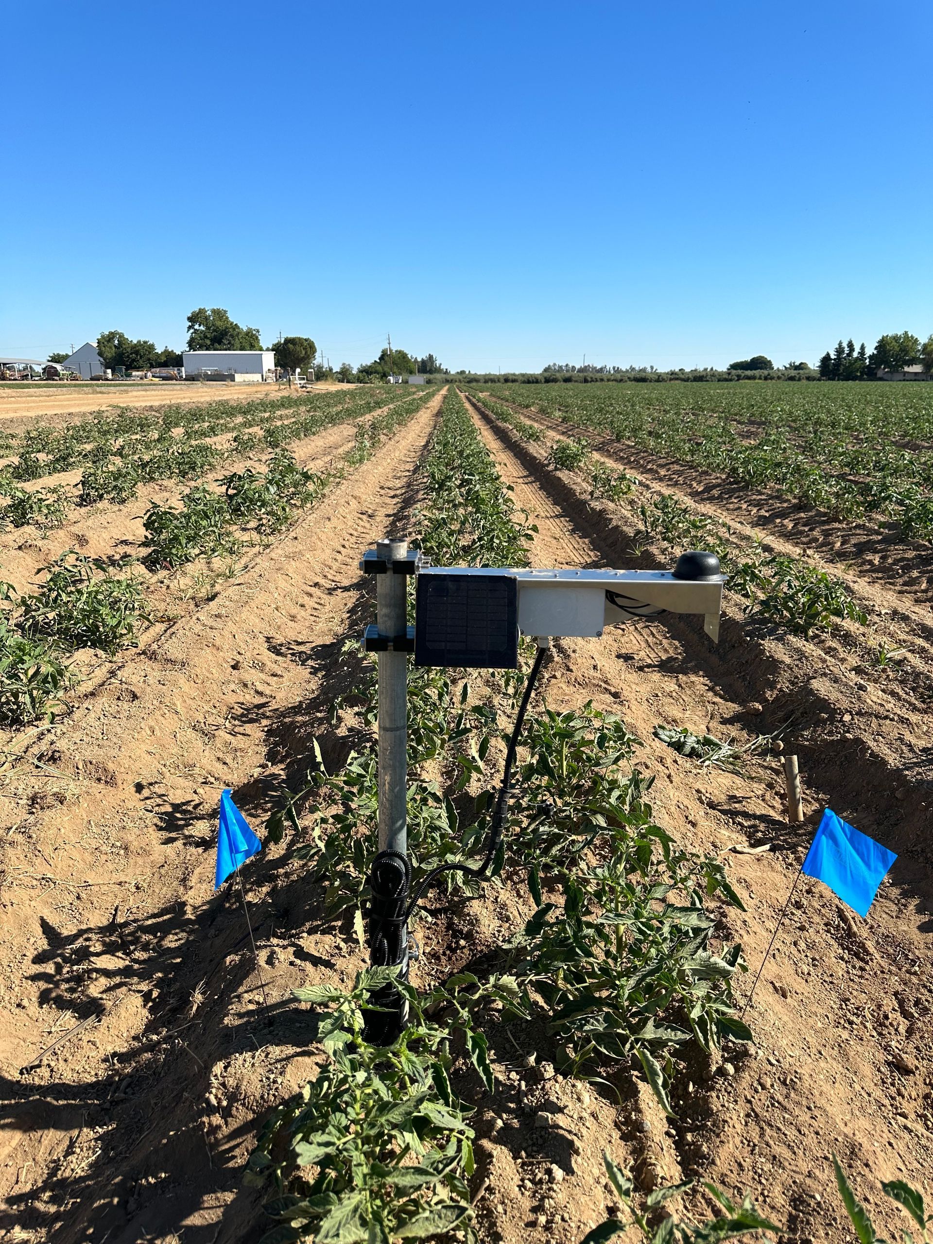 Soil moisture monitoring station.