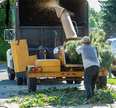 tree shredder