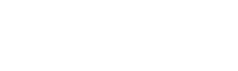 FDU White logo