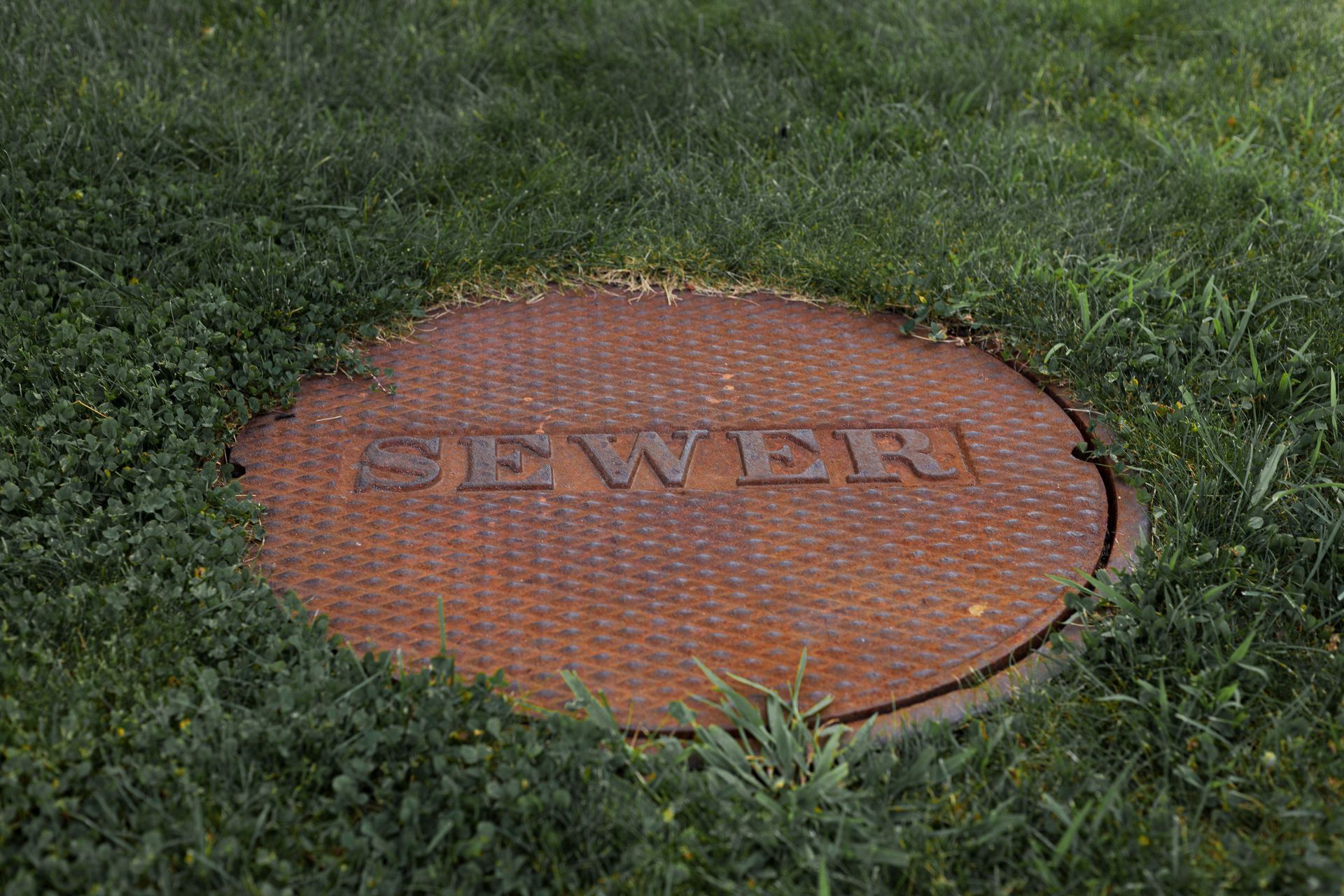 Red sewer manhole cover set in green grass