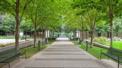 Tree-lined park walkway with benches and a paved path under green leafy canopies