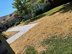 Tilted view of a suburban house, sidewalk, and dry yellow-brown lawn under a blue sky