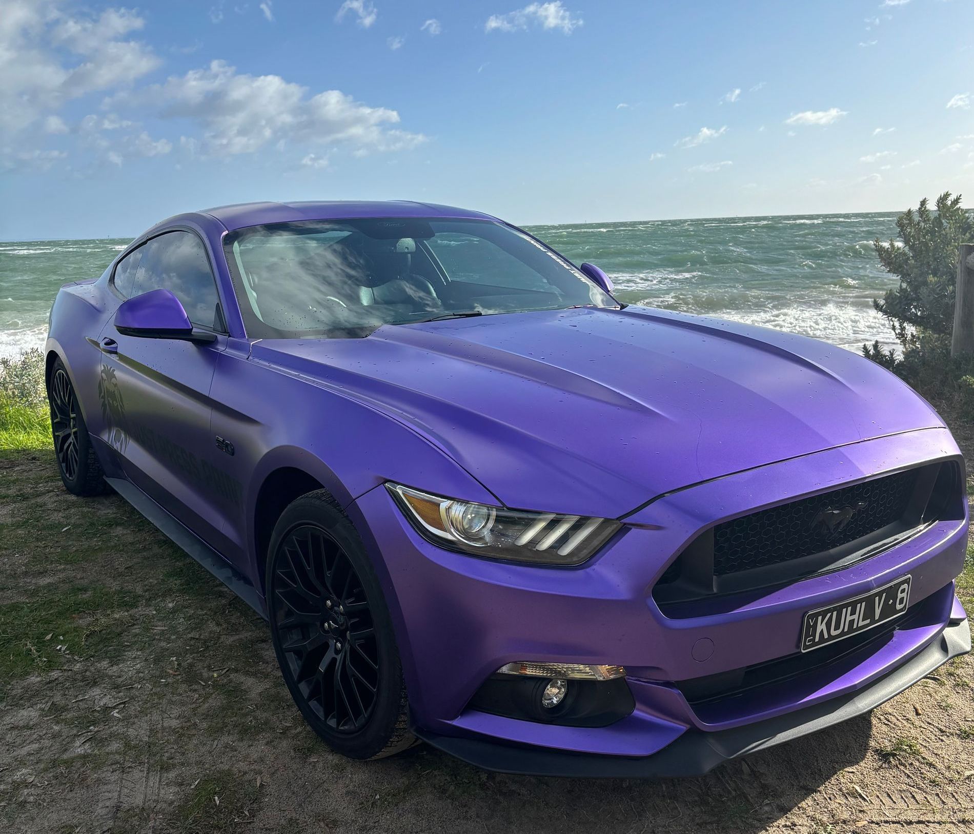 Vinyl Wraps