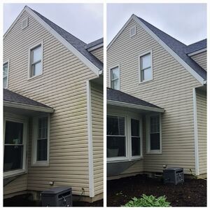 Before and after soft washing