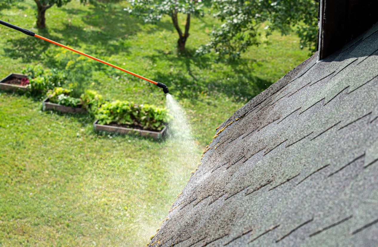 Roof algae removal results