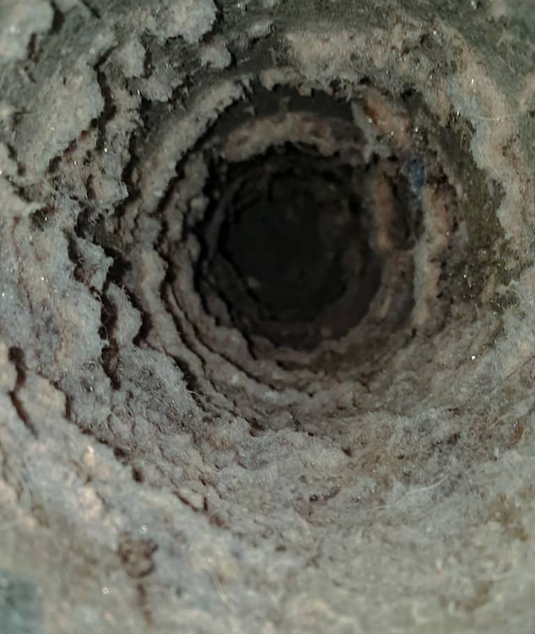 dirty dryer vent