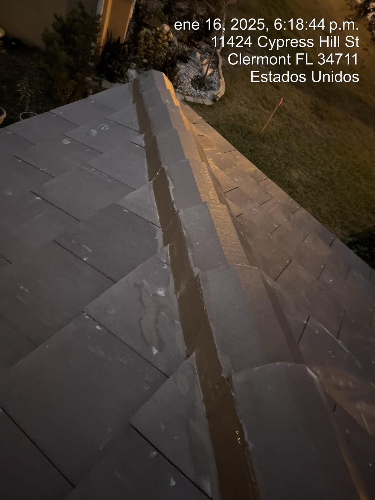 Nighttime rooftop walkway with gray tiles and a cat near the top edge.