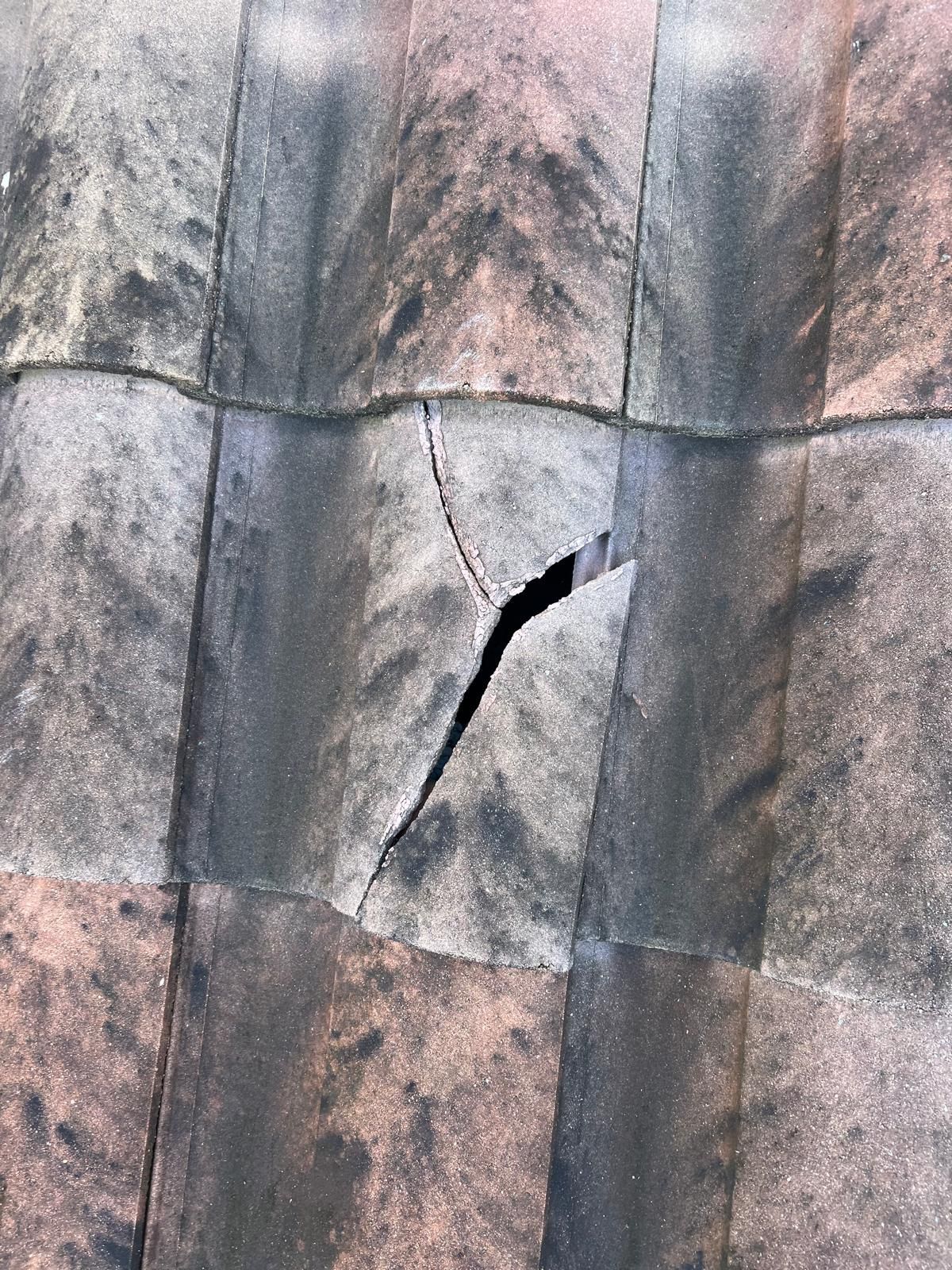 Cracked gray and brown roof tiles with a visible break in the center.