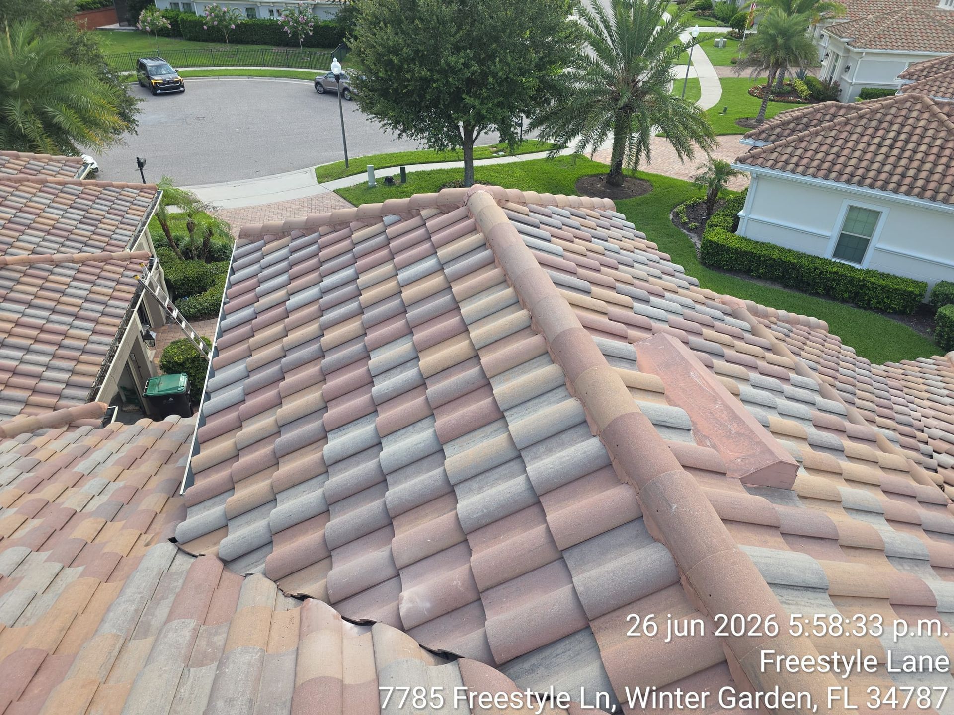 Roof tiles and ridge caps on a house, viewed from above with street and trees in the background