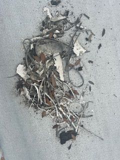 Pile of debris and dirt on a gray concrete surface.