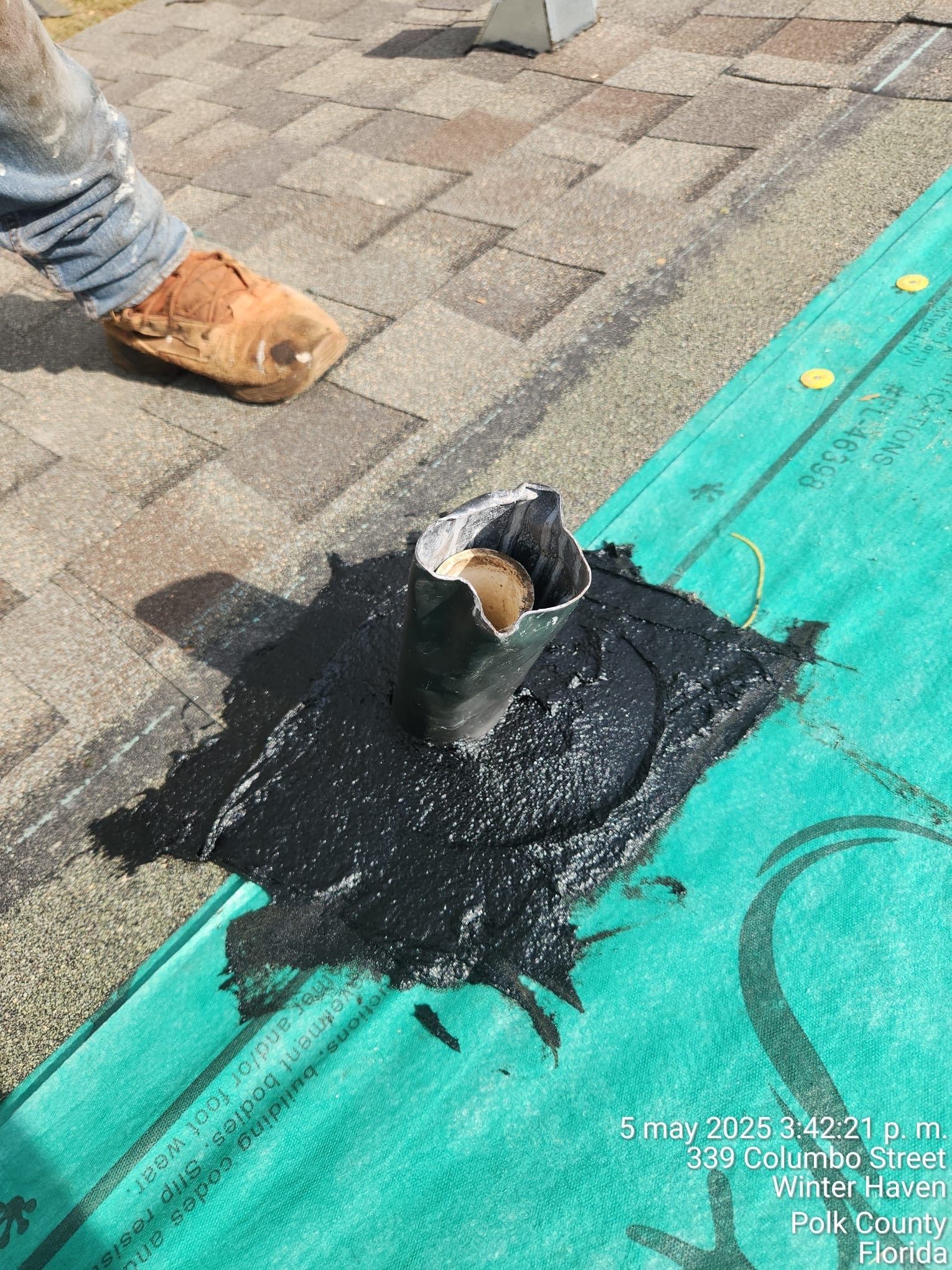 Small duck sitting in black oil on a green tarp beside a person’s boot on a paved surface