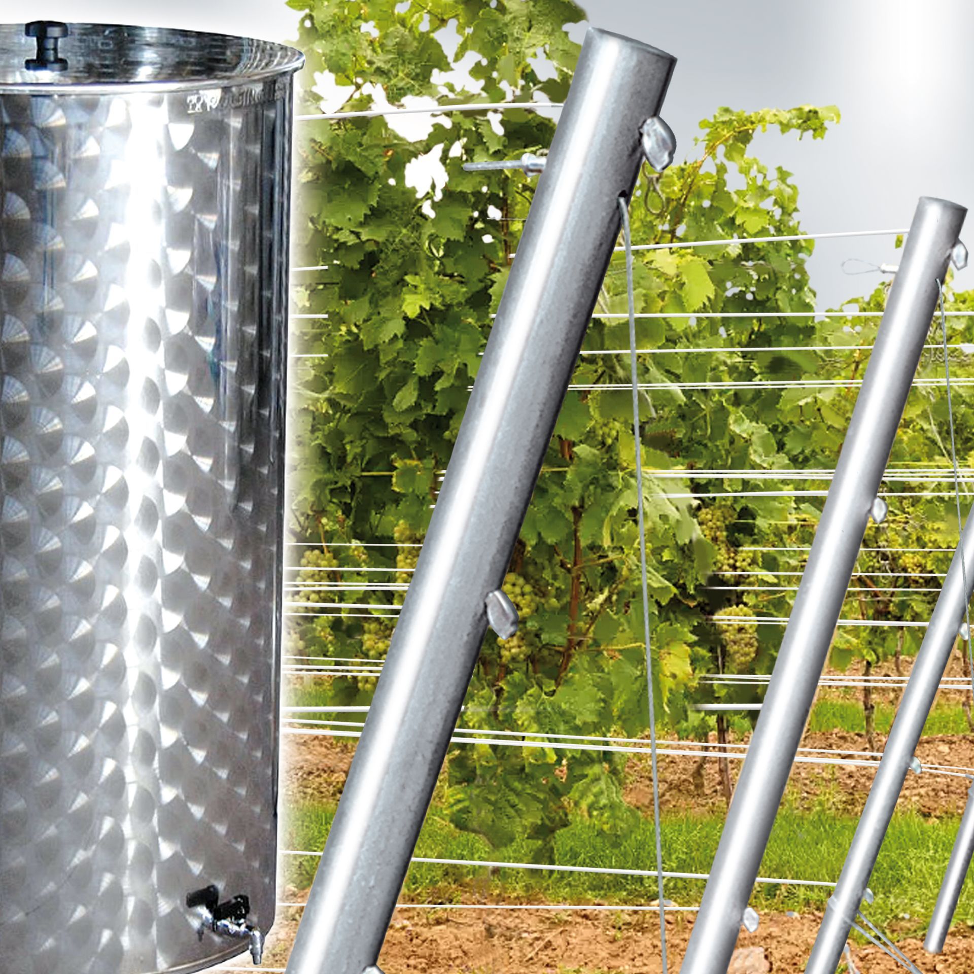 Davanti ad un vigneto si trova un serbatoio in acciaio inox con rubinetto laterale
