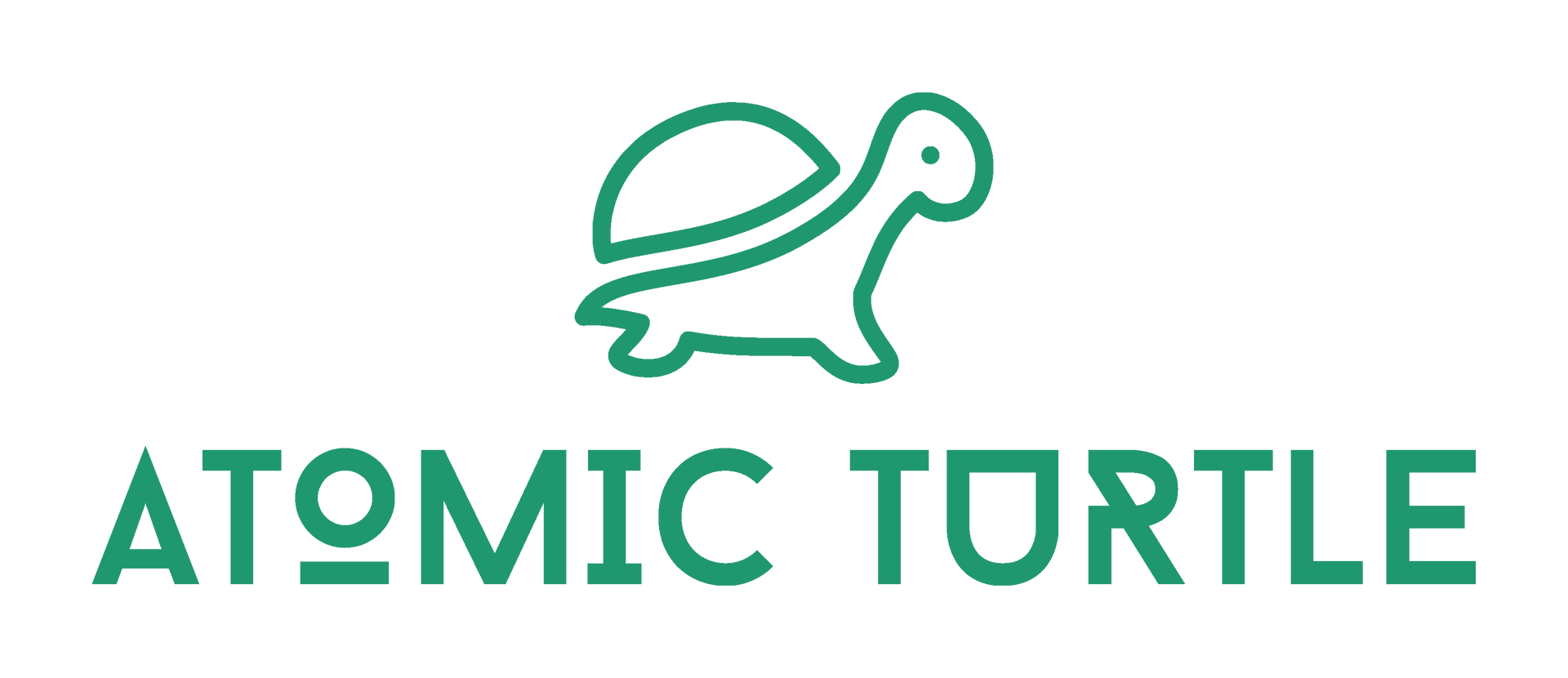 Home [theatomicturtle.com]
