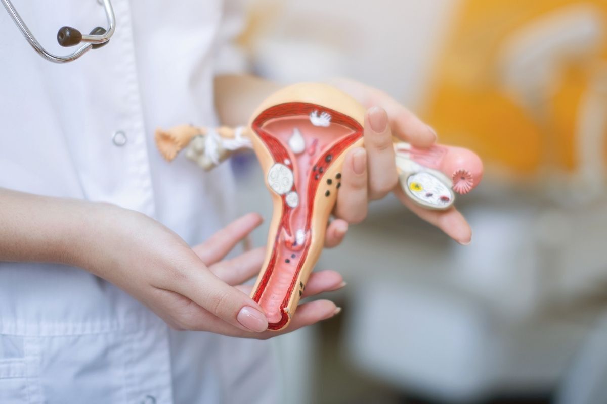 Procurando por Especialista em Endometriose em São Paulo? Especialista Endometriose São Paulo
