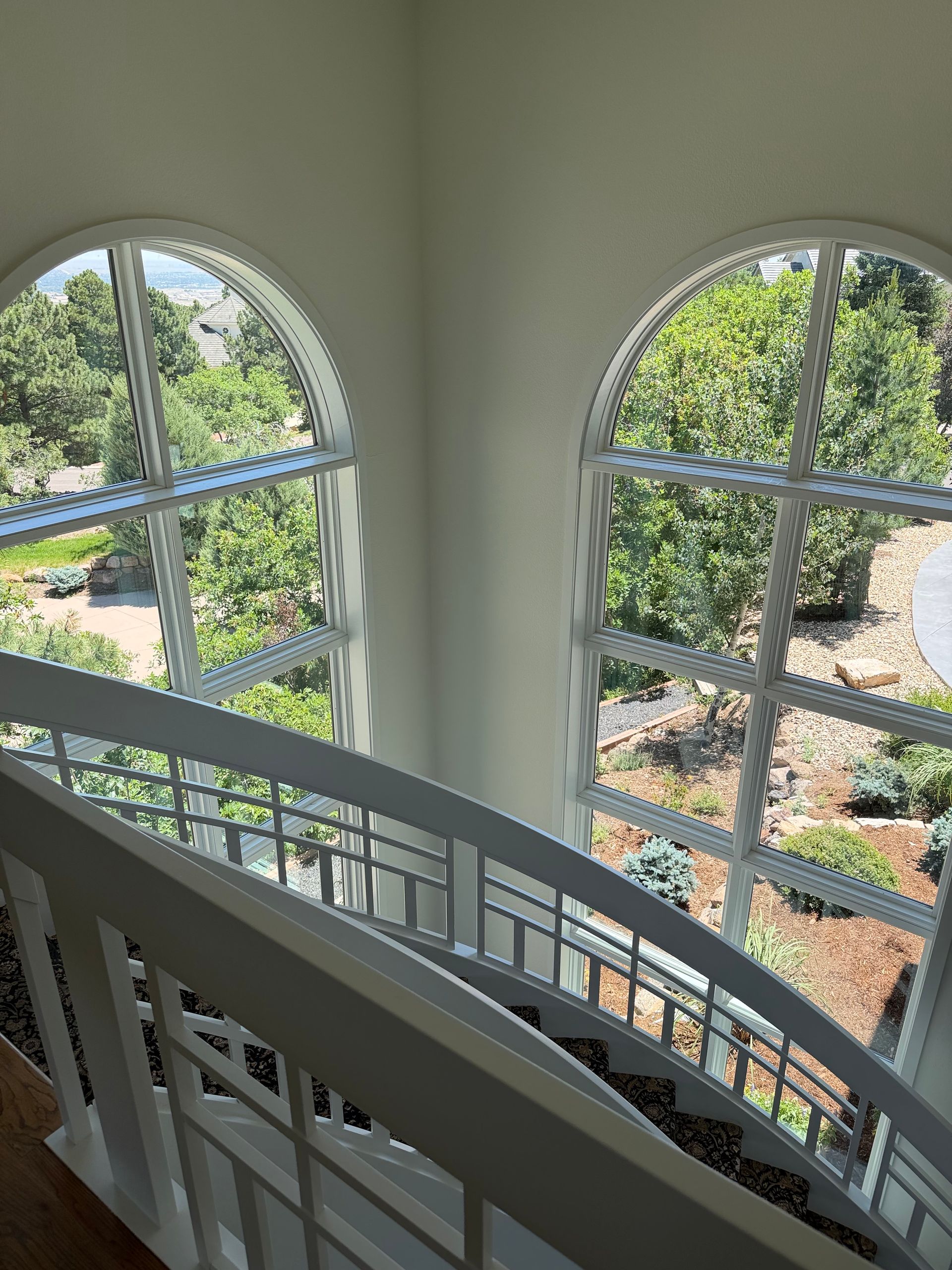 White-framed window reflecting a sunny backyard with fence, grass, and neighboring houses
