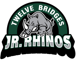 Logo for a football club, 