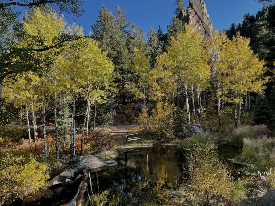 A pond reflecting fall trees with yellow leaves under a blue sky. Rocks and forest surround.