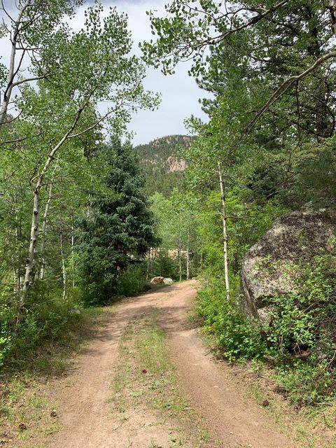 Dirt road through trees, leading towards a mountain under a cloudy sky.
