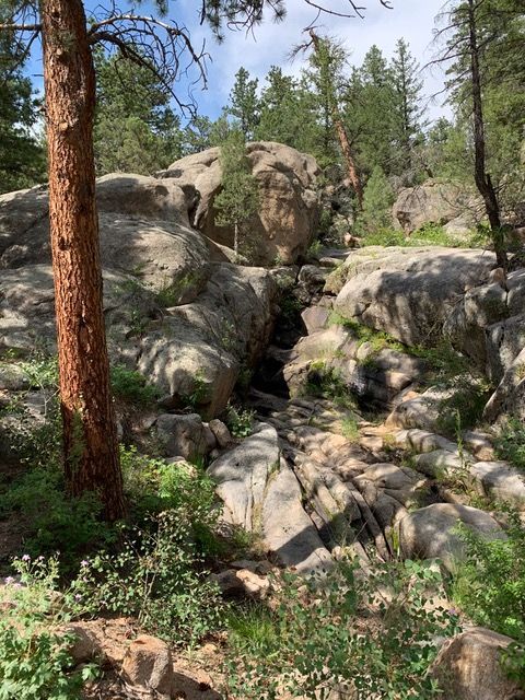 Rocky mountain trail with boulders and green vegetation.