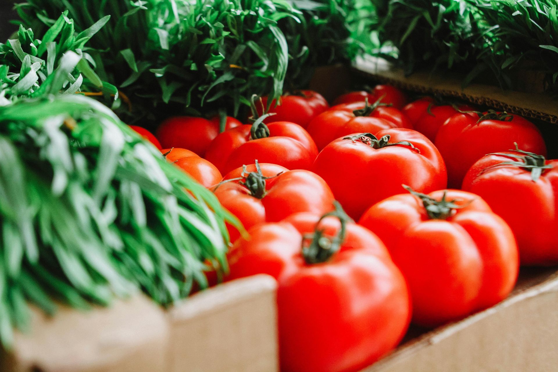 Red tomatoes and green herbs in a cardboard box, close-up shot.