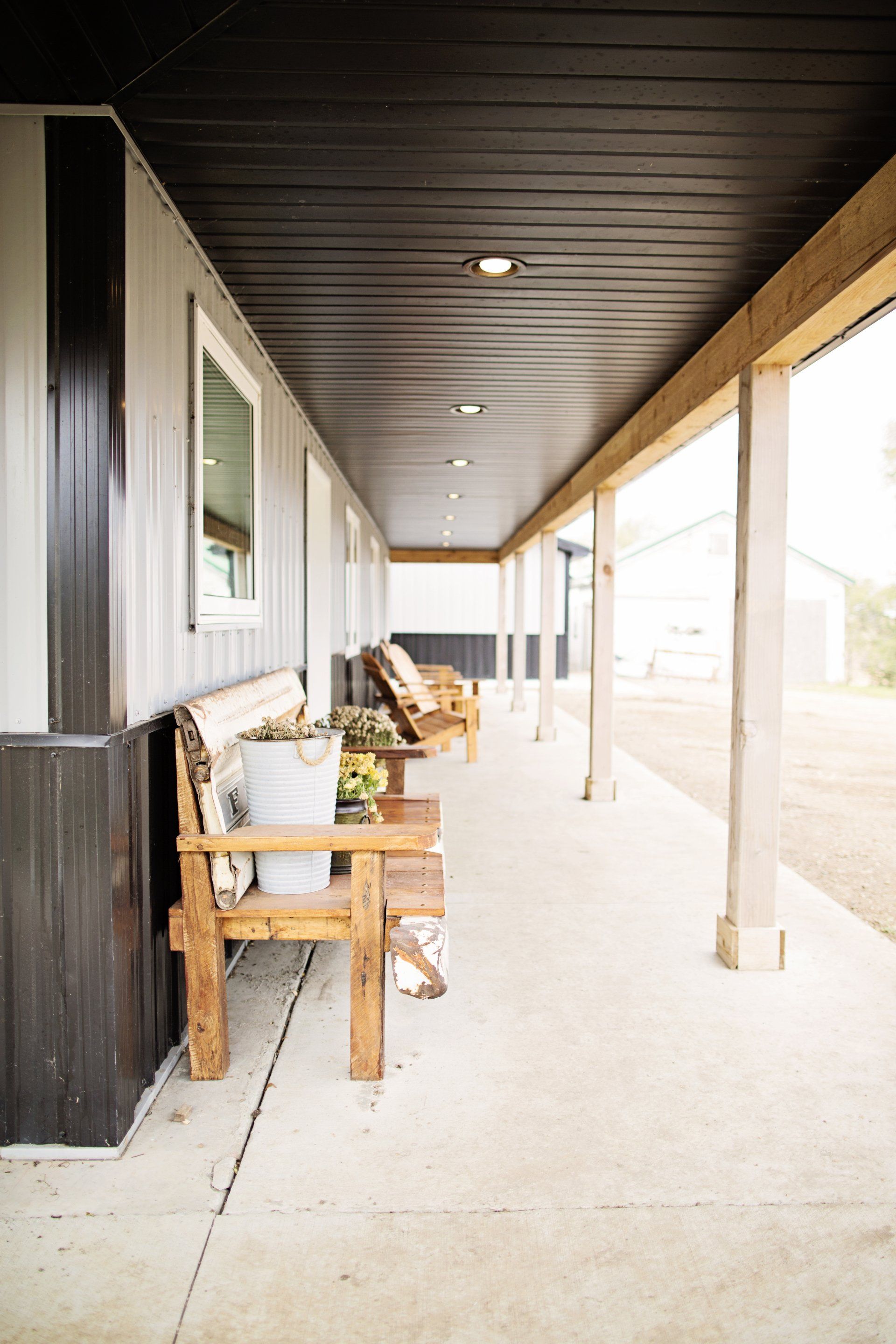 Pheasant lodging SD