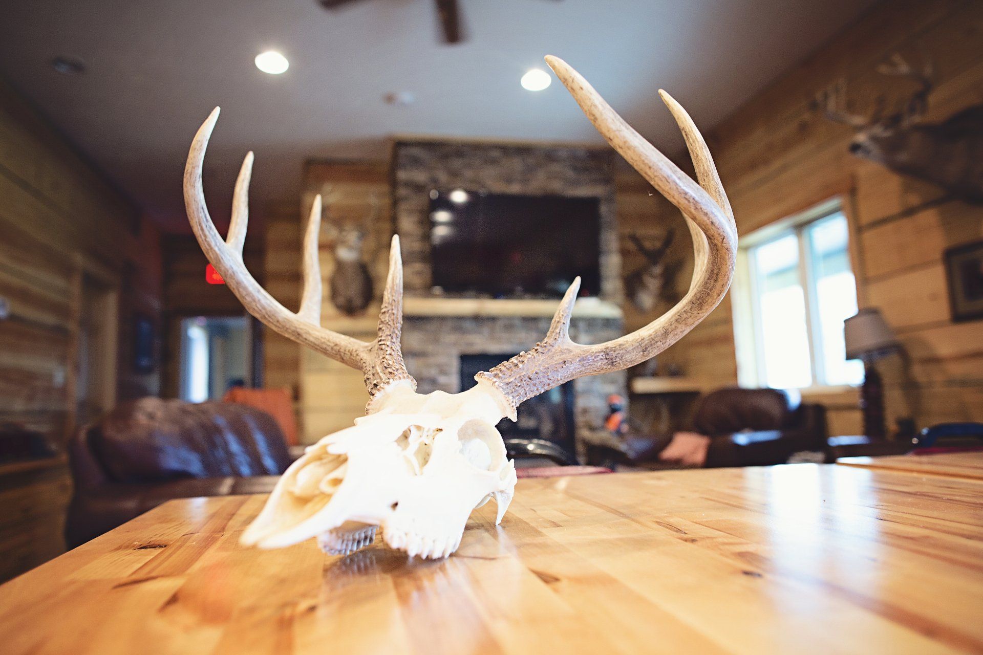 EPO Hunting Lodge