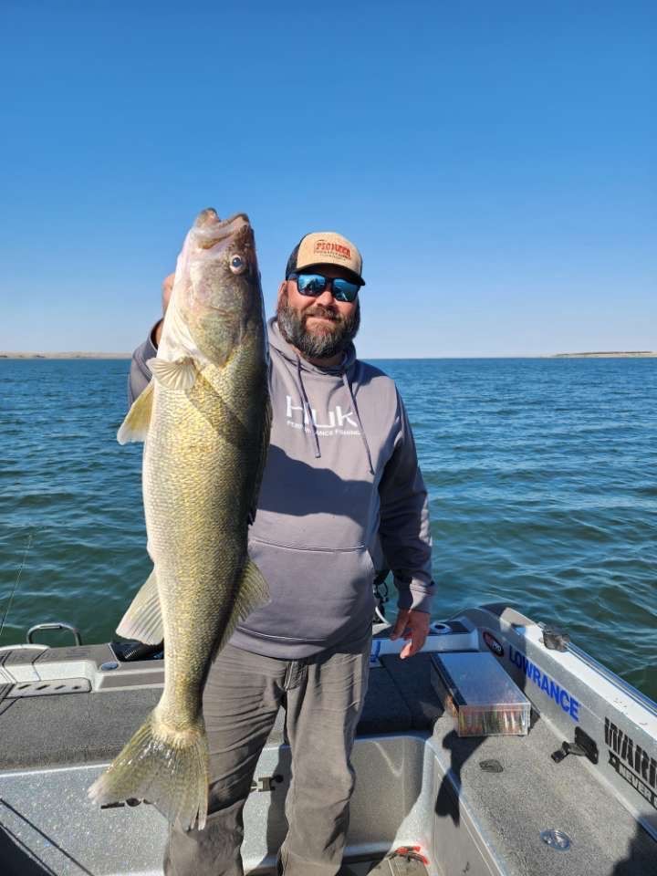 walleye forward facing sonar