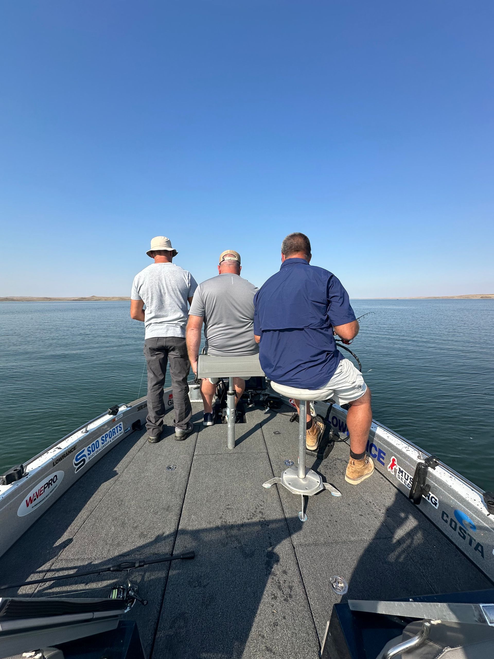 learn how to use FFS for walleyes