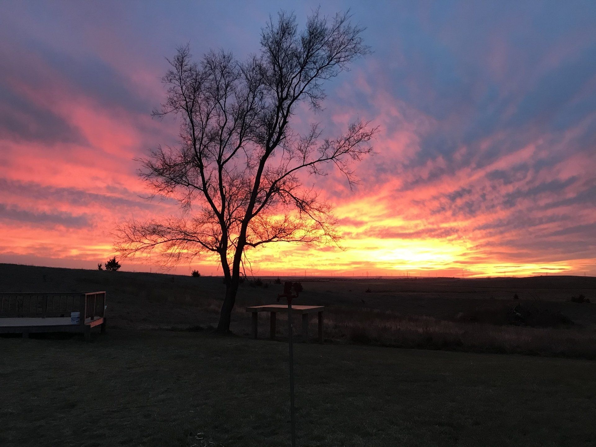 Grouse hunting sunset