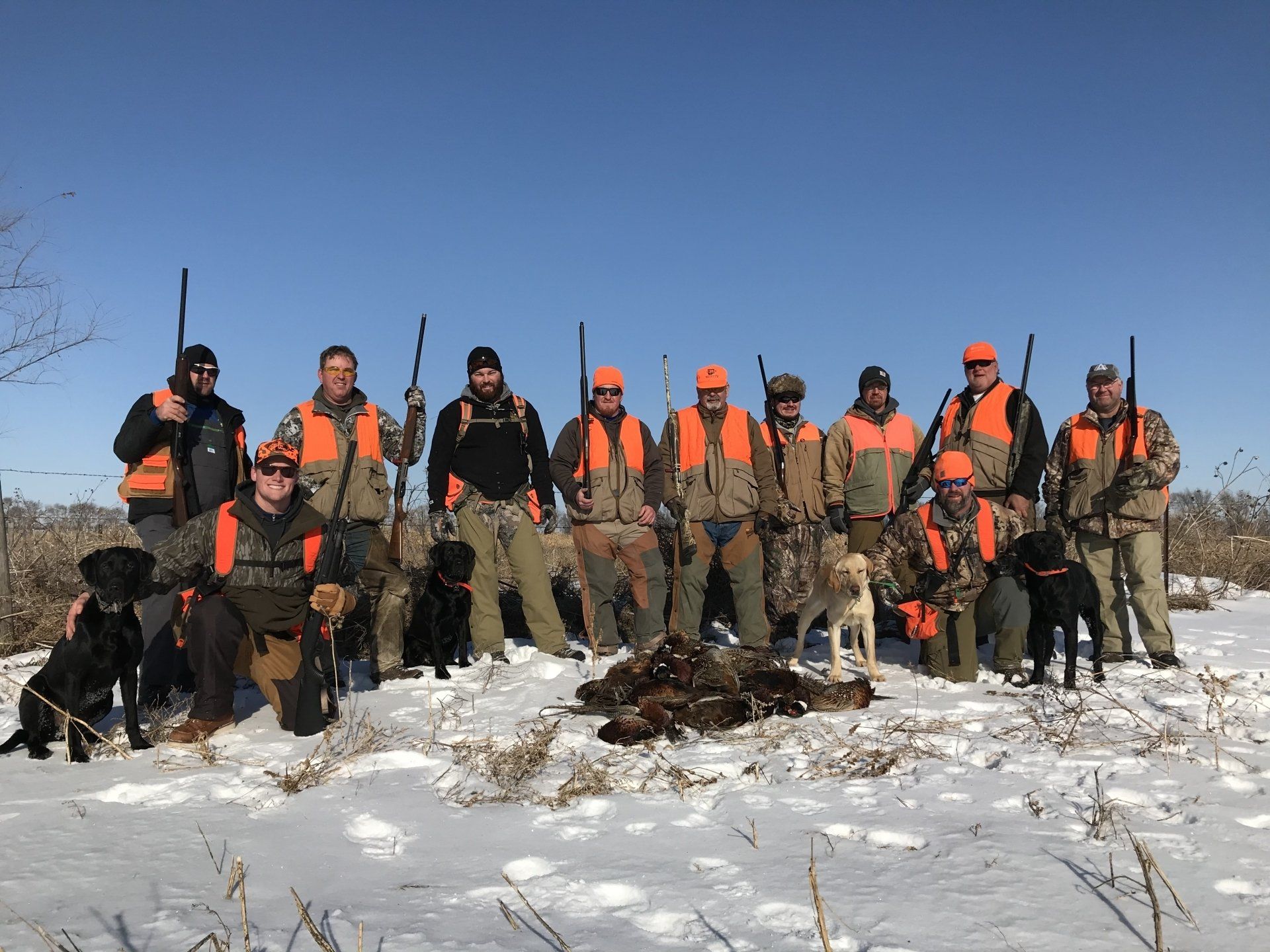 SD pheasant hunting guide