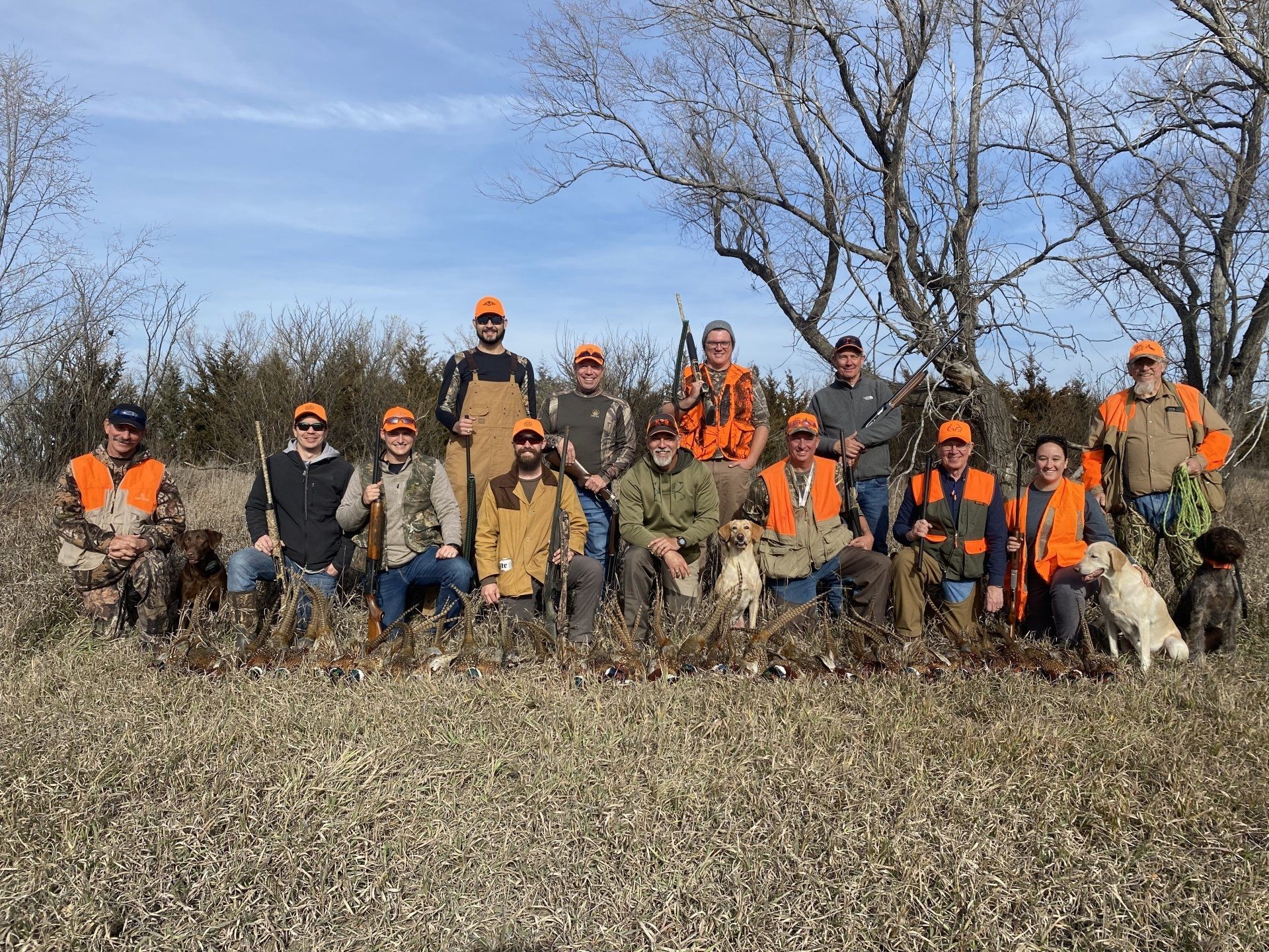 pheasant hunting