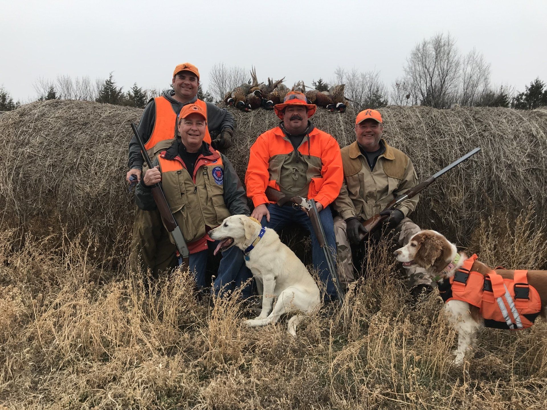 Pheasant Hunts SD