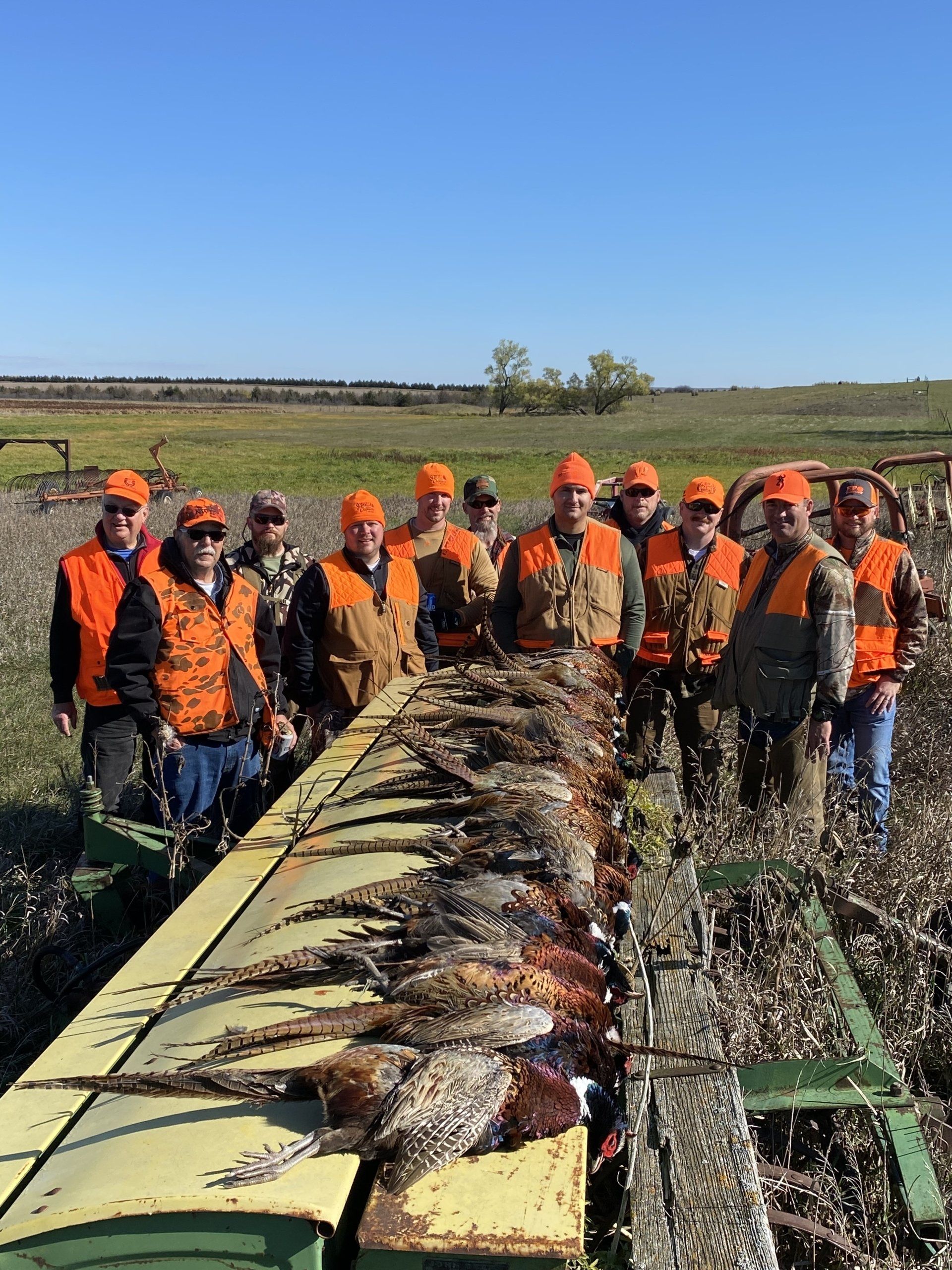 Pheasant Hunting Dakotas