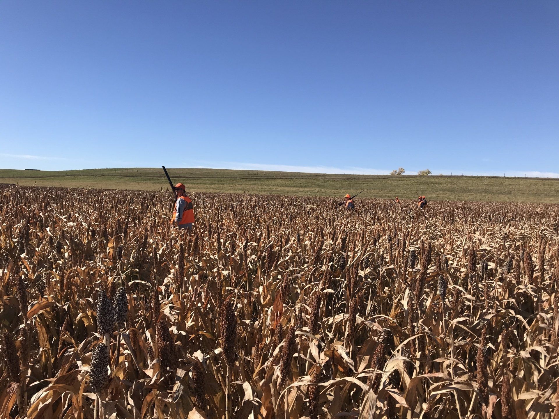 grand slam upland hunts