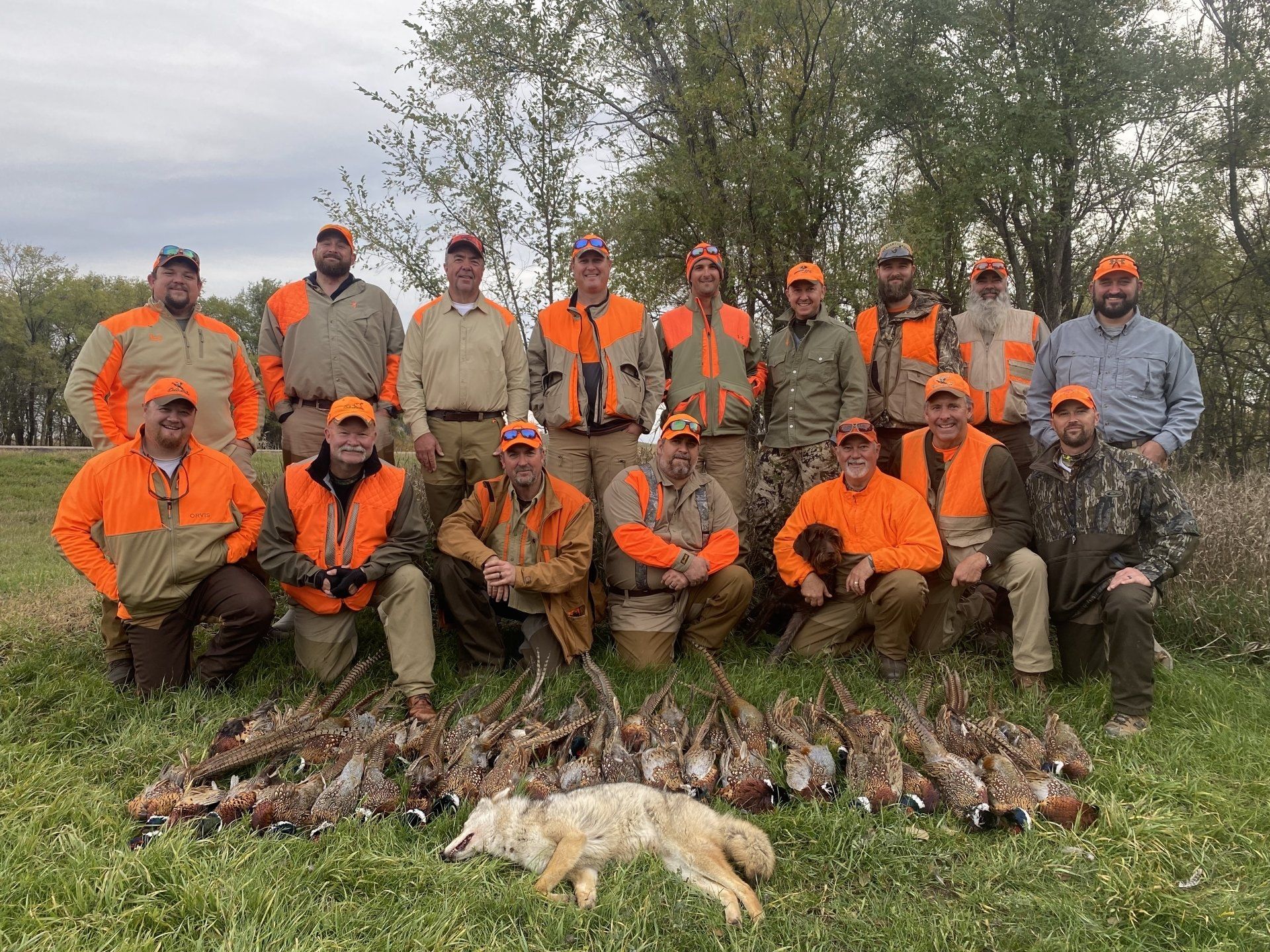 Outfitter for hunting pheasants in South Dakota SD