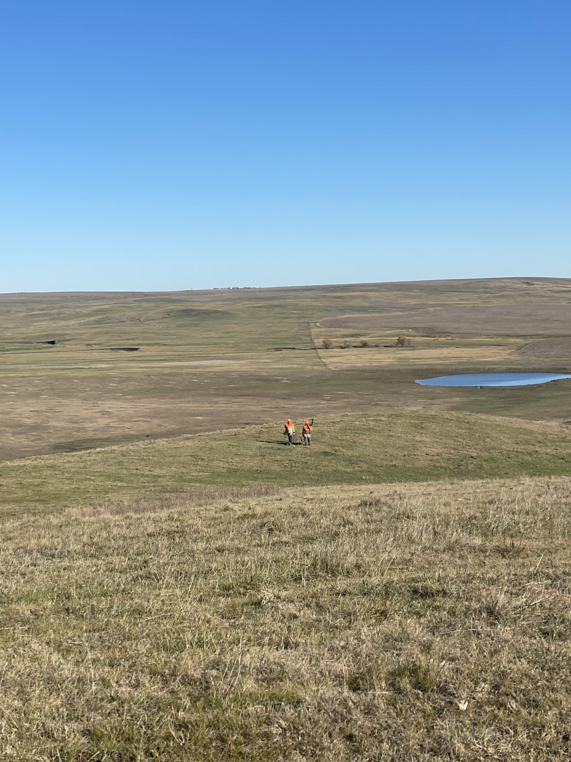 grand slam upland hunting
