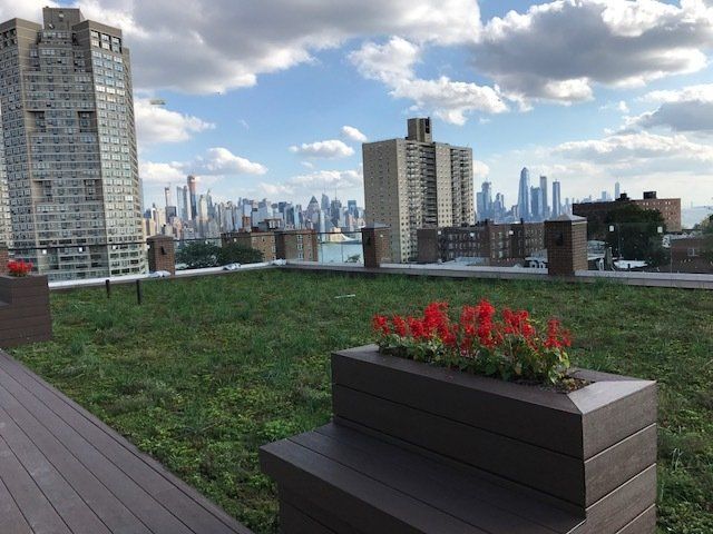 photo from rooftop