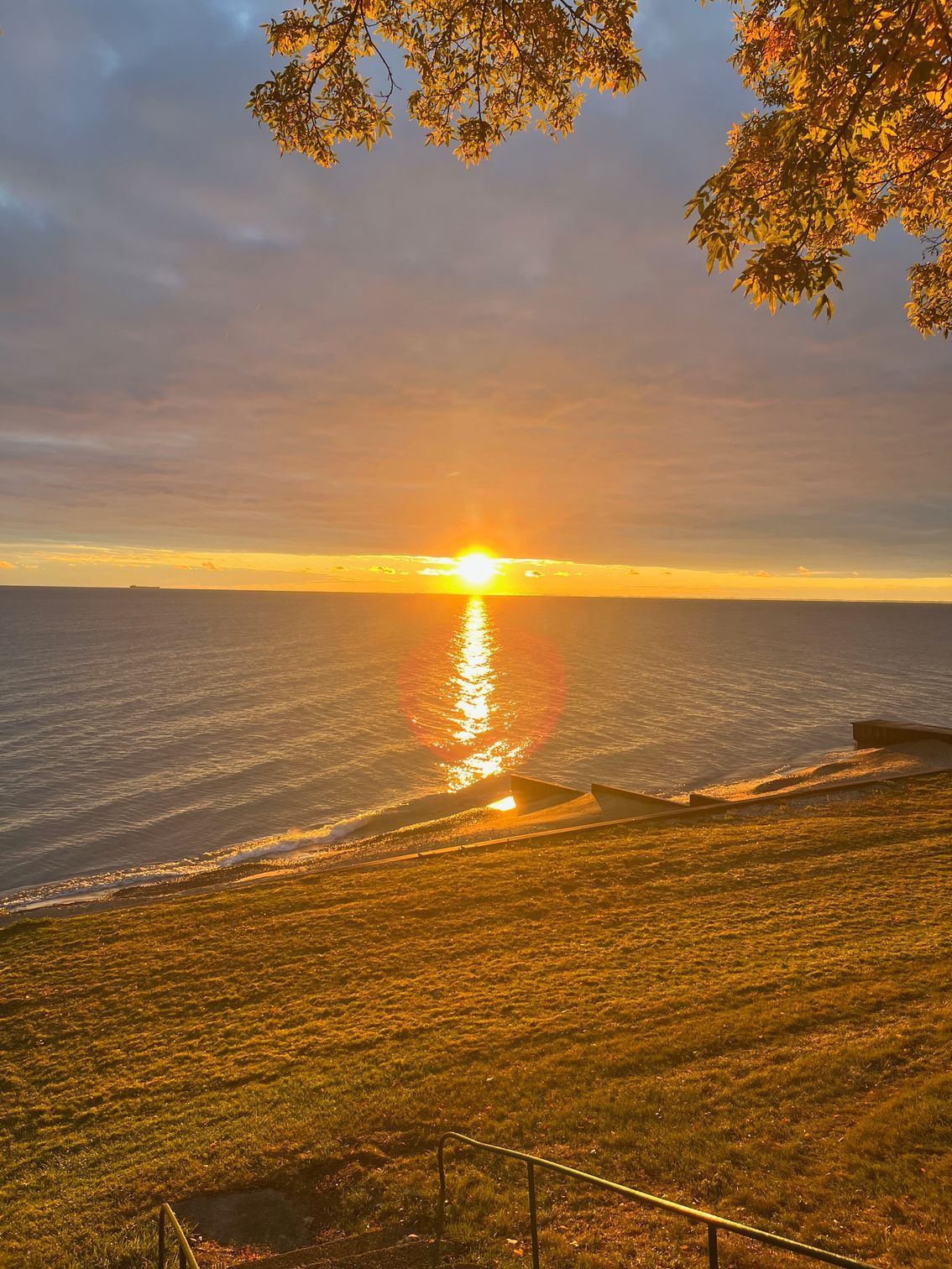 Golden sunset over a calm body of water with sunlight reflecting; grassy foreground, autumn leaves.