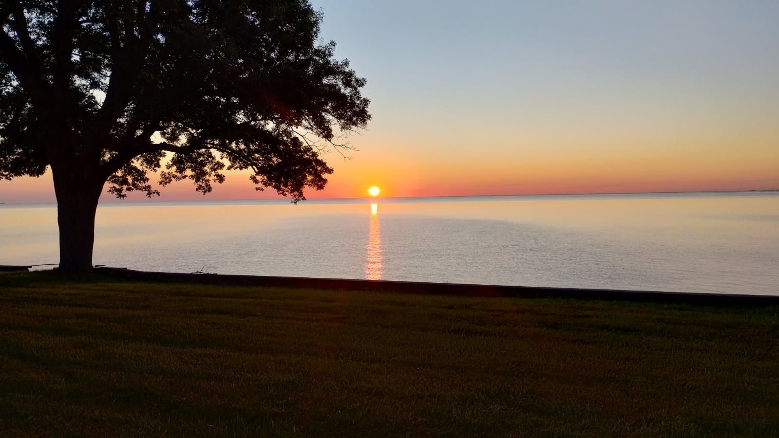 Sunrise over calm water, with silhouette of a tree on the left, grassy area in foreground.