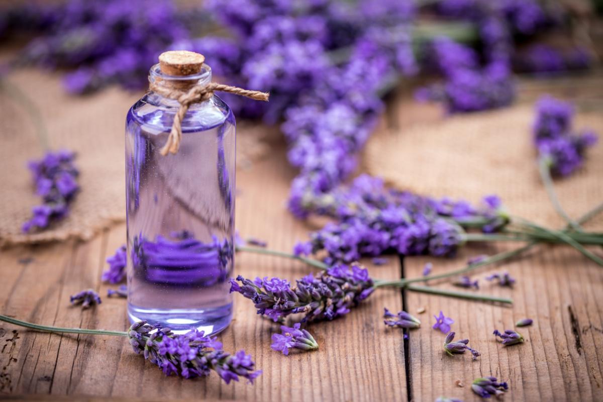 Flacone di olio di lavanda con liquido viola, circondato da rametti di lavanda su una superficie di legno.