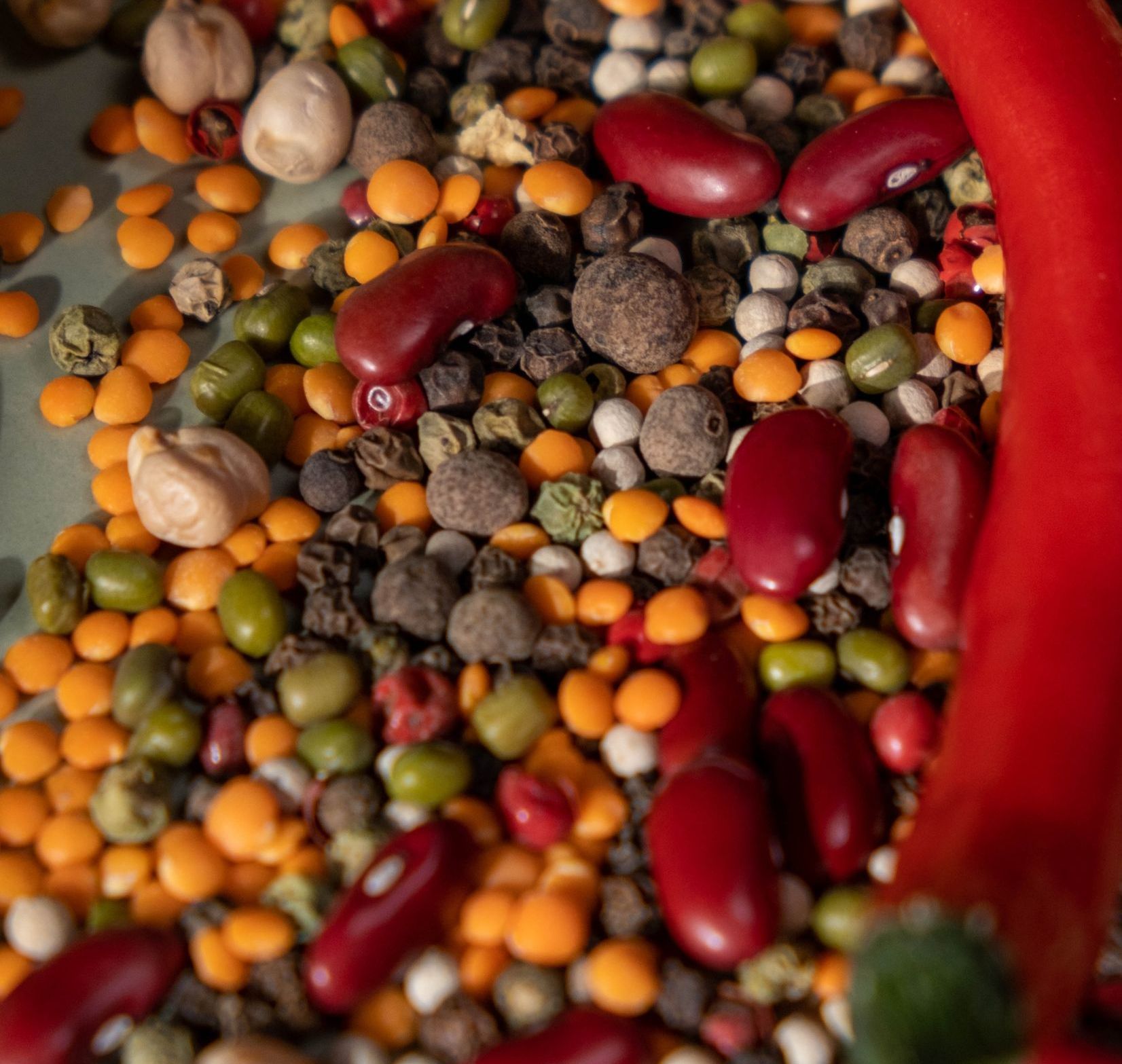 Primo piano di vari legumi colorati, tra cui lenticchie, fagioli e grani di pepe, con un peperoncino rosso.