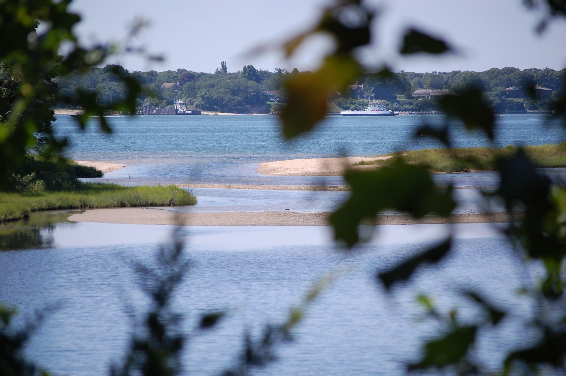 a view at mashomack preserve 