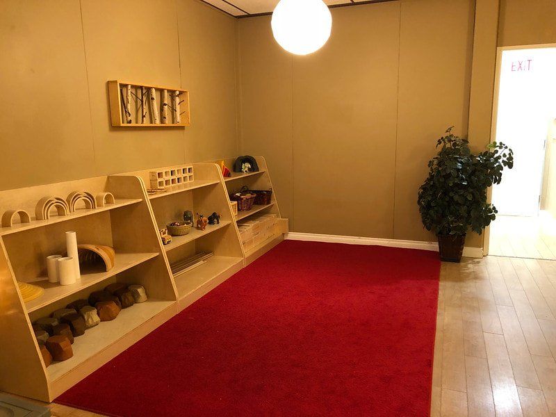 A room with a red rug , shelves , and a plant.