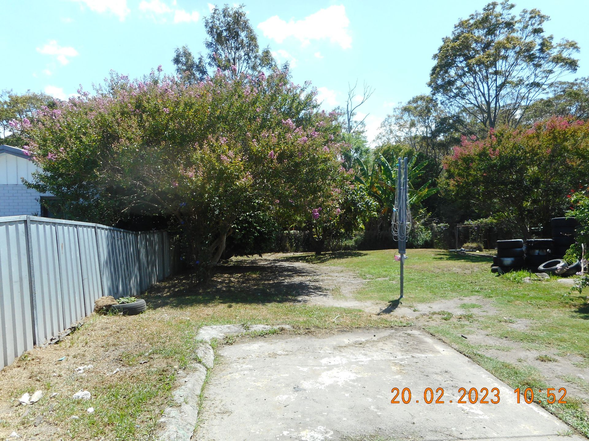 backyard