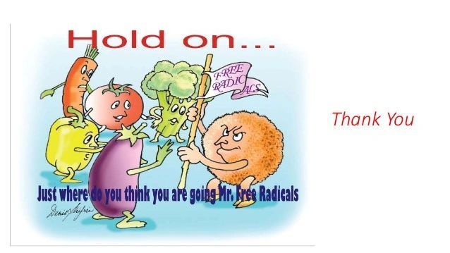 Fruits and Vegetables - Chicago, IL - Fast Track Physio