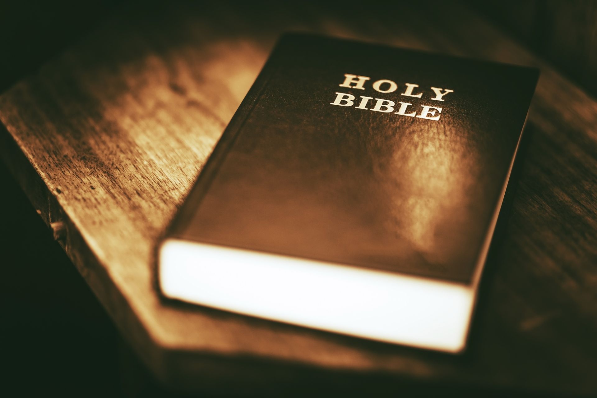 Bible Verses
