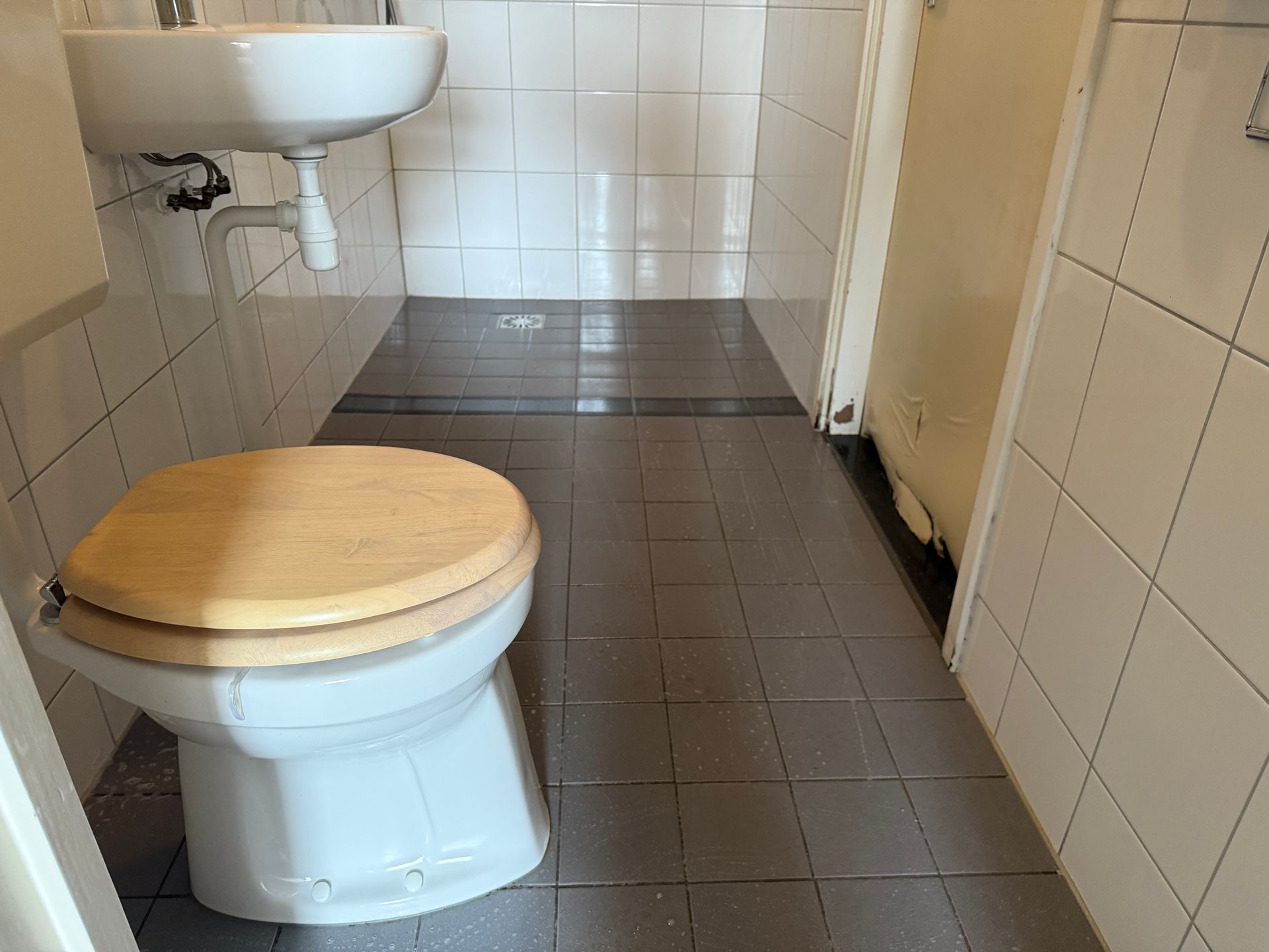 Badkamer met toilet, wastafel en betegelde wanden/vloer. Grijze vloertegels met water.