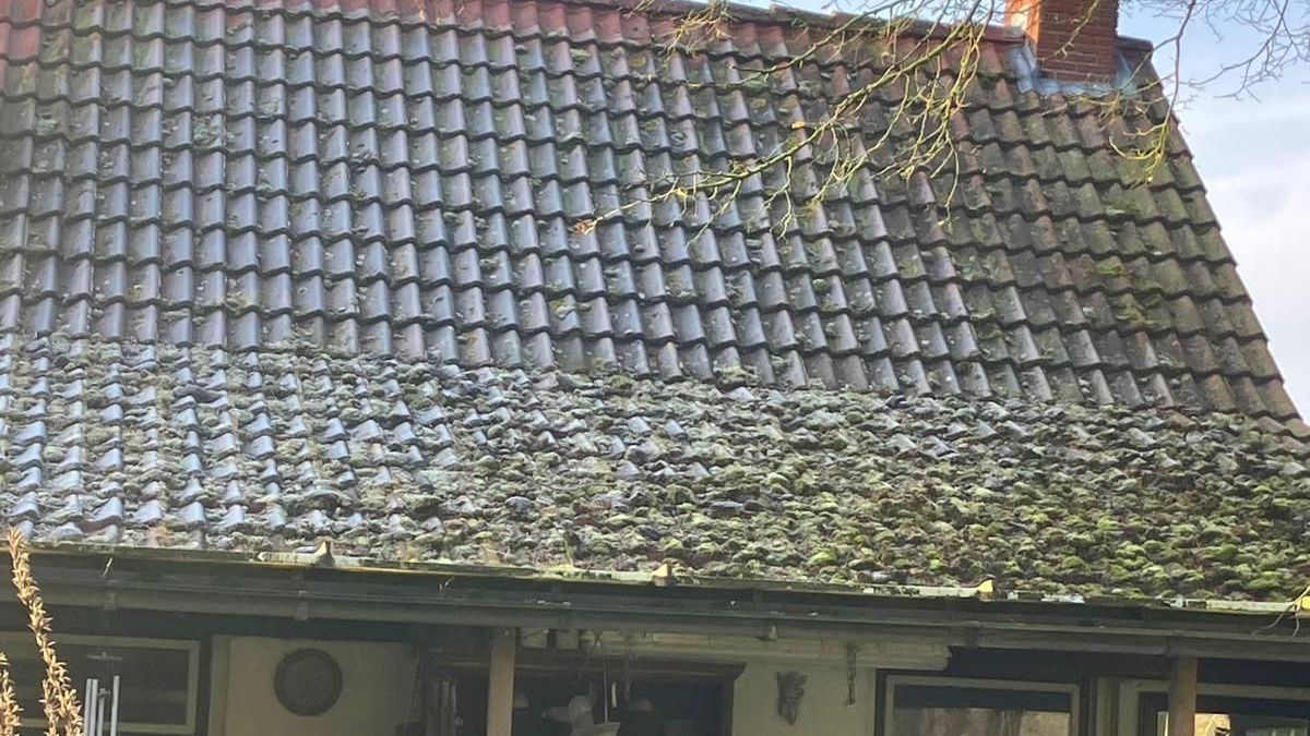 Een donker, verweerd pannendak op een wit gebouw, met een schoorsteen en kale takken erboven.