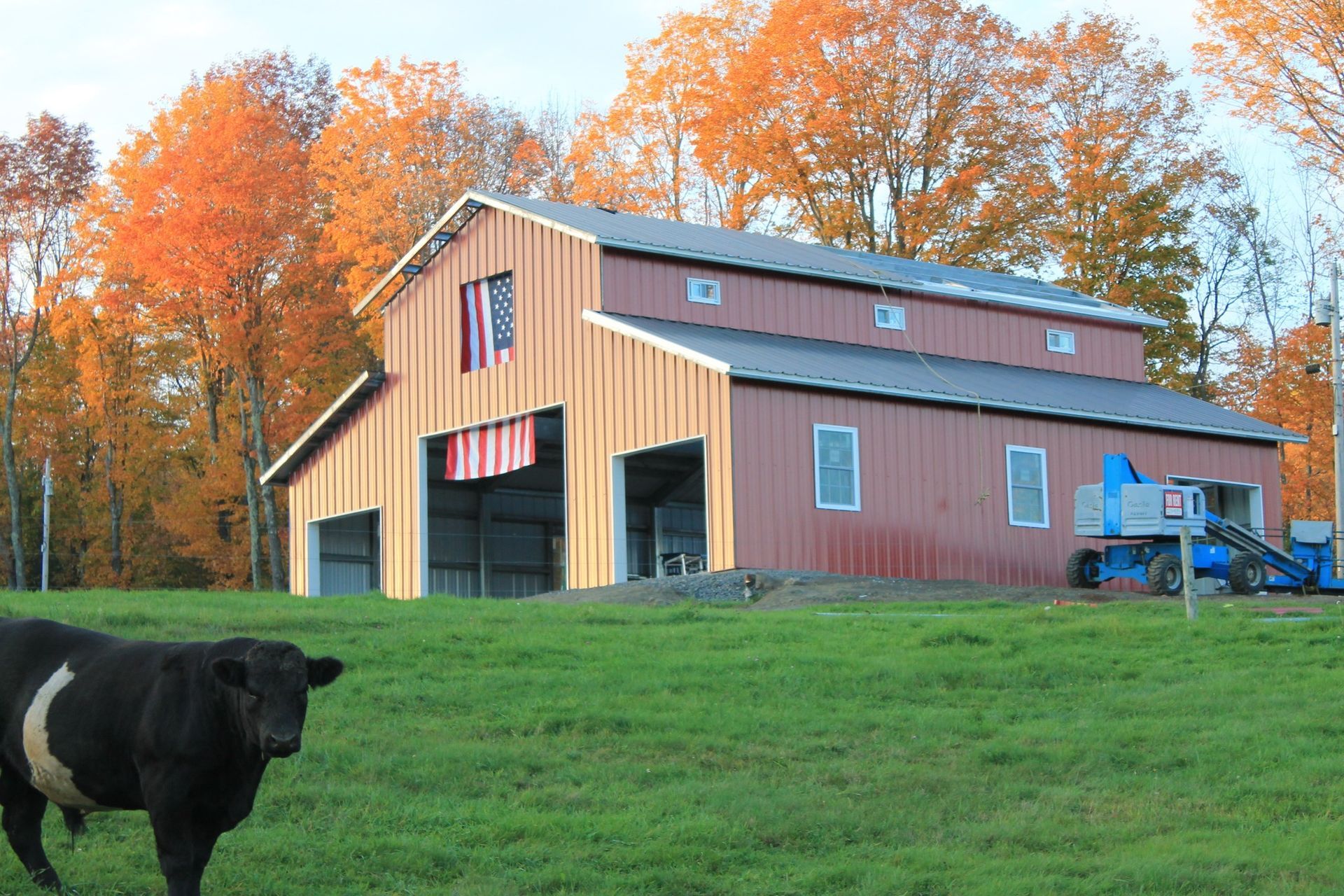 Red barn in a grassy field with a cow in the foreground. Fall foliage in the background.