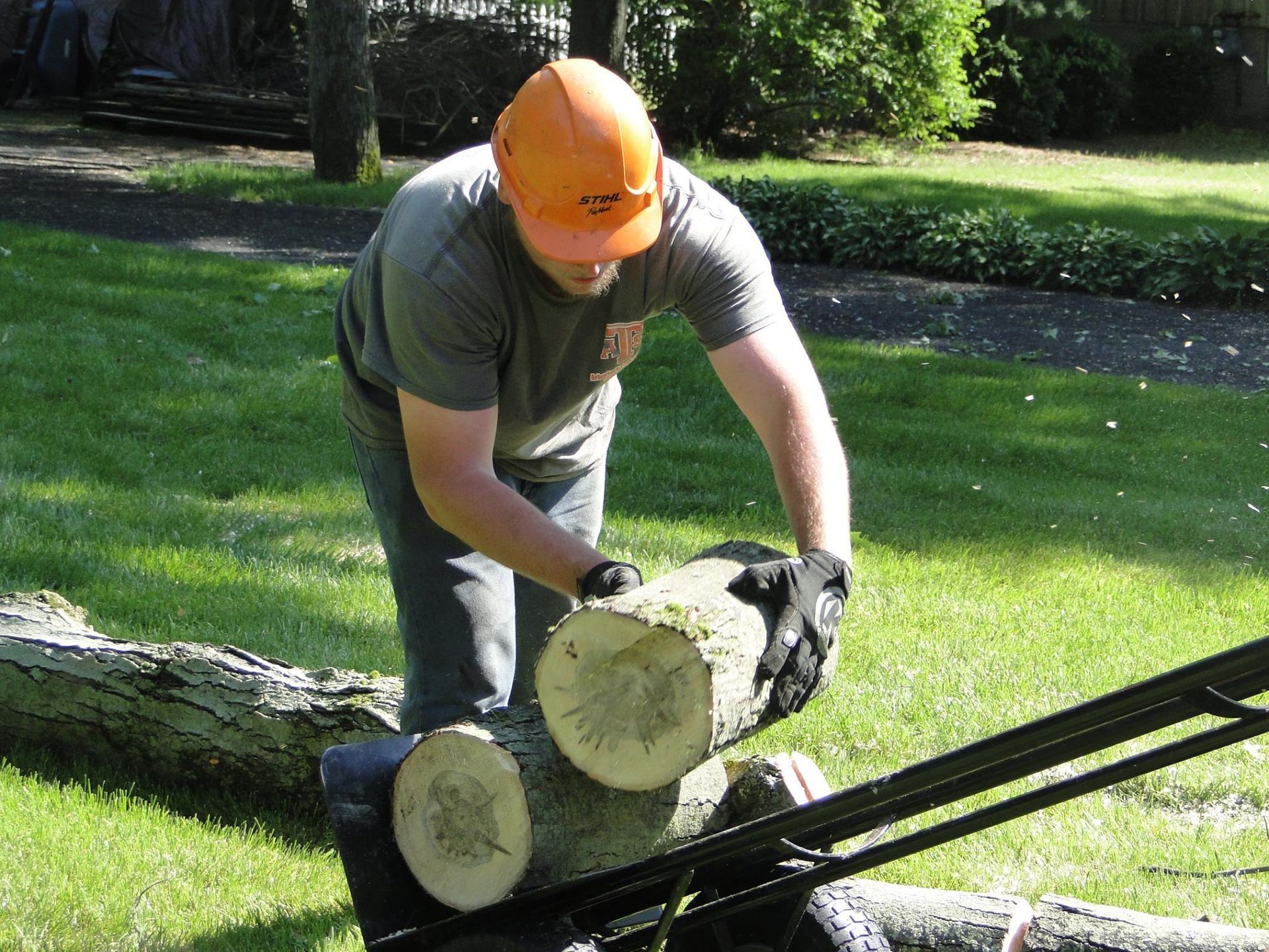 A person wearing an orange hard hat places a log onto a wood splitter in a grassy outdoor area.